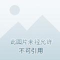 直播开局一句话气哭校花无修改