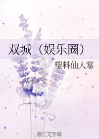 双城娱乐圈